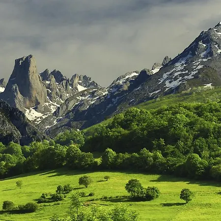 El Rinconin דירה